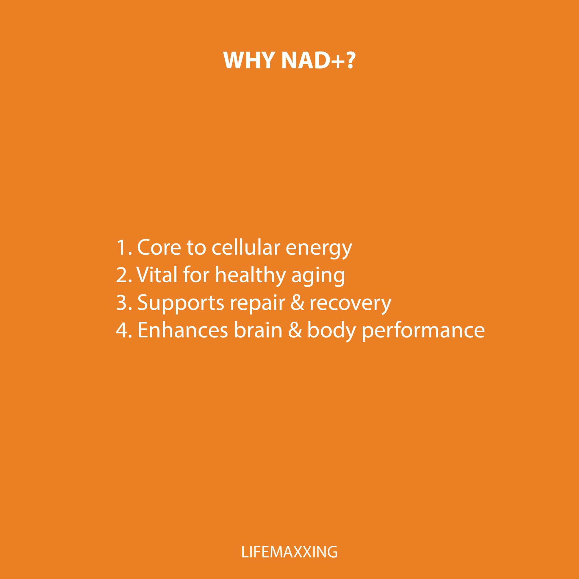 YOUTHMAXX | NAD+ PATCHES